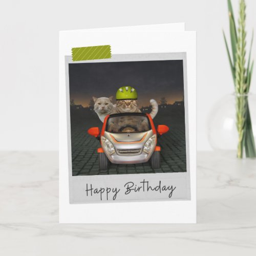 Driving Cats Funny Birthday Card
