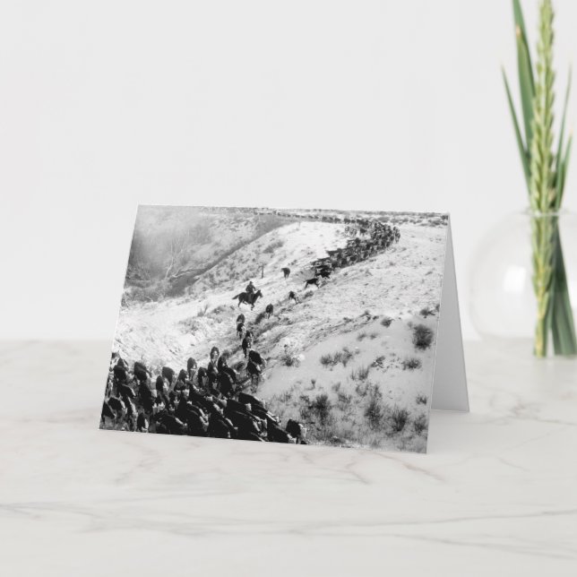Driving cattle in the winter. card (Front)