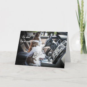 Driving Corgis Anniversary Card