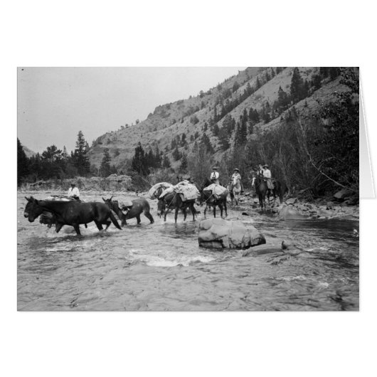 Driving pack mules across a river cards (Front Horizontal)