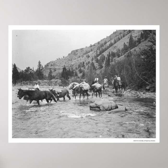Driving pack mules across a river poster