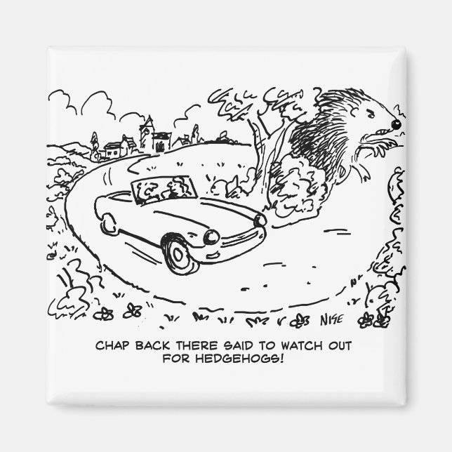 Driving Sports Car in Countryside with Hedgehog Magnet (Front)