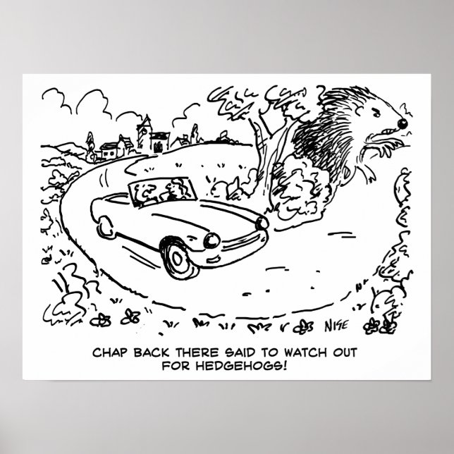 Driving Sports Car in Countryside with Hedgehog Poster (Front)