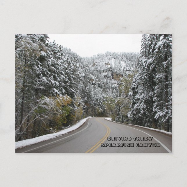 DRIVING THREW SPEARFISH CANYON - Customized Postcard (Front)