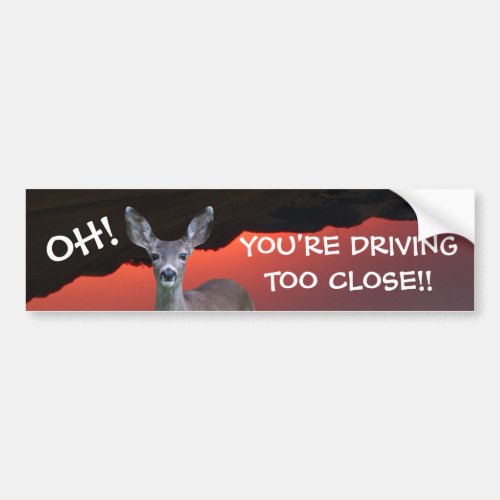 Driving Too Close Bumper Sticker