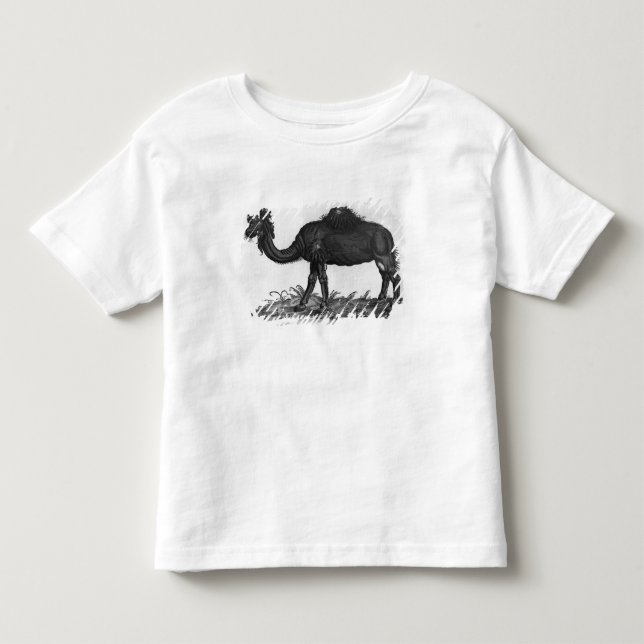 Dromedary, from 'Historial Animalium' Toddler T-shirt (Front)