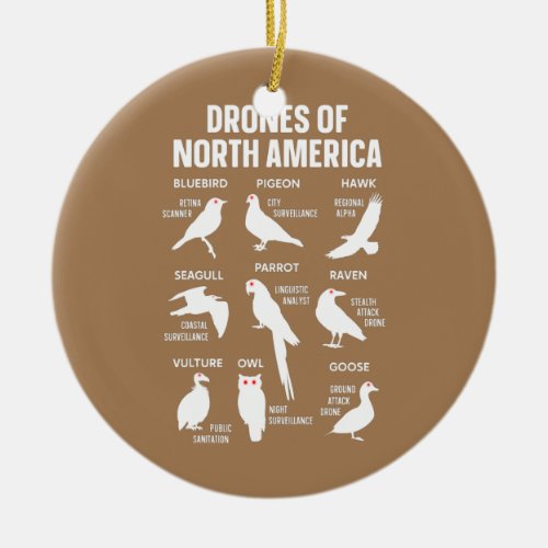 Drones Of North America Birds Field Guide These Ceramic Ornament