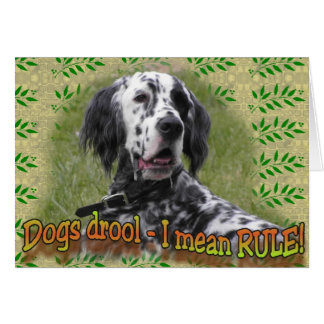 drool or RULE Cards