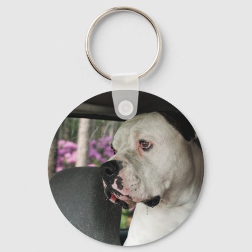 drooling American Bulldog Keychain