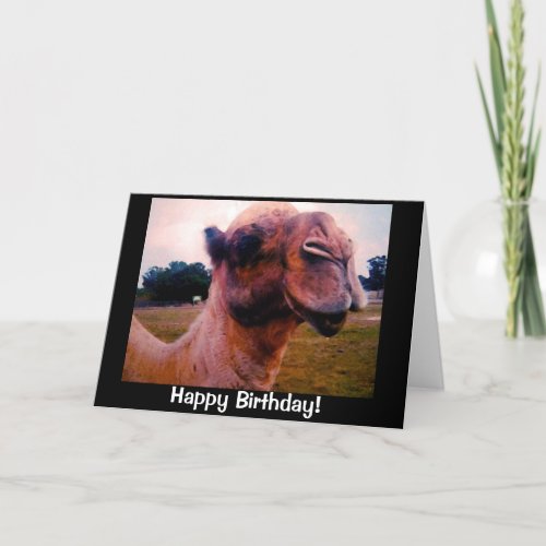 Drooling Camel Birthday Greeting Card