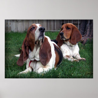 Droopee And Saggy Poster