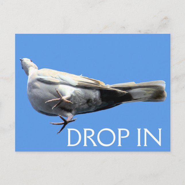 Drop In Postcard - SRF (Front)