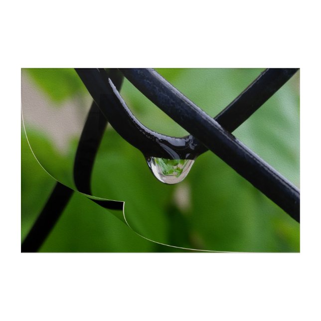 Drop of rain acrylic print (Front)