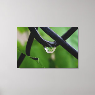 Drop of rain canvas print