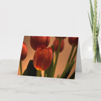 Drop of Sun Thank You Card