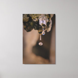 droplet  canvas print