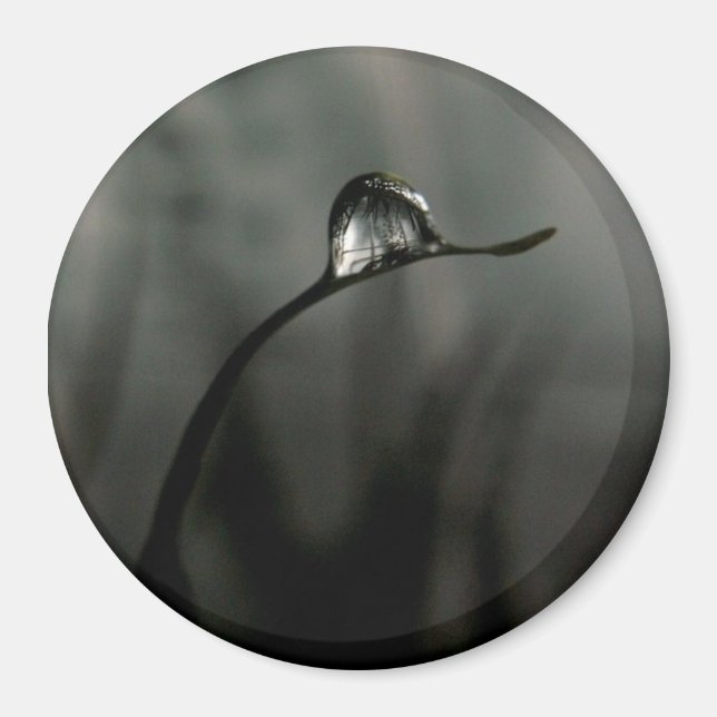droplet magnet (Front)
