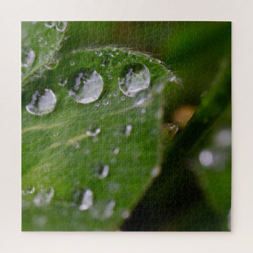 Droplet Trio Jigsaw Puzzle