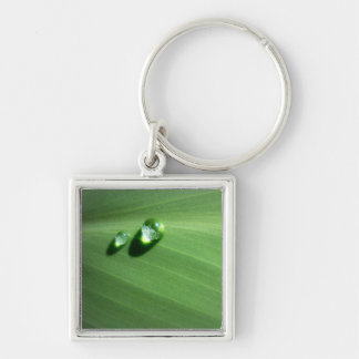 droplets keychain