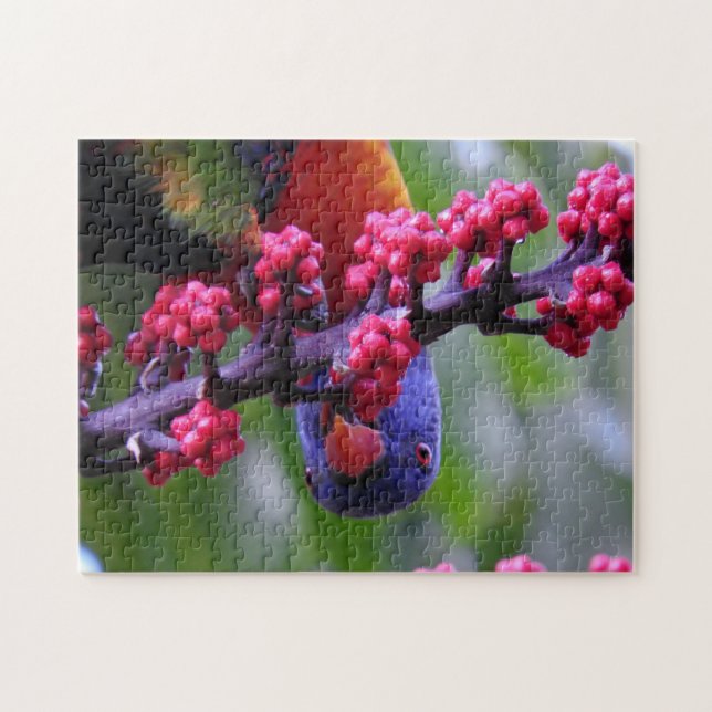 Dropping in for a snack - Rainbow Lorikeet Jigsaw Puzzle (Horizontal)