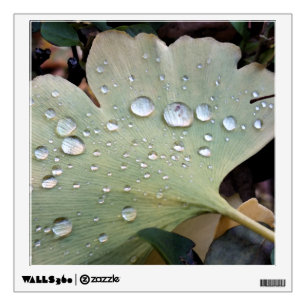 Drops of rain wall decal