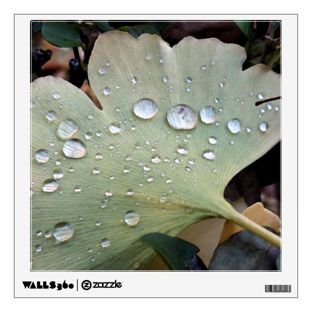 Drops of rain wall decal (Front)