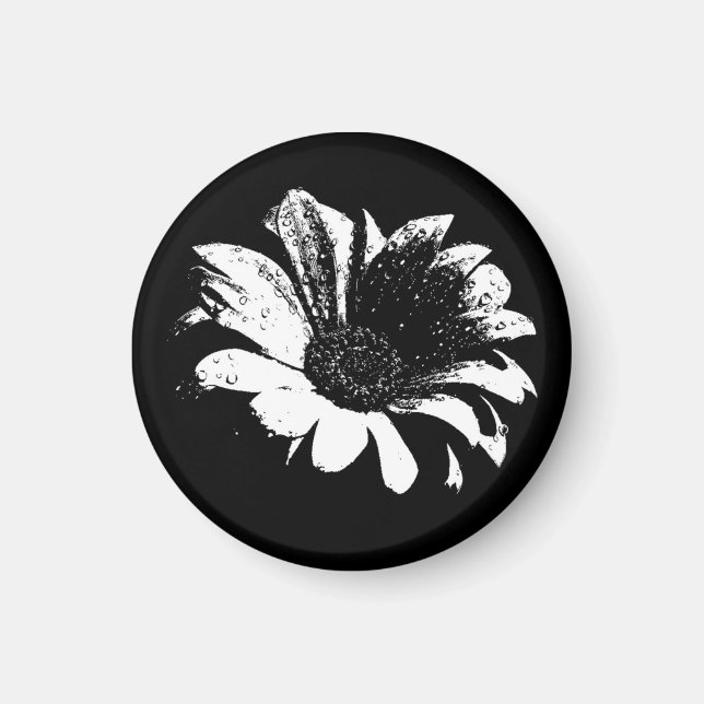 Drops on Daisy Magnet (Front)