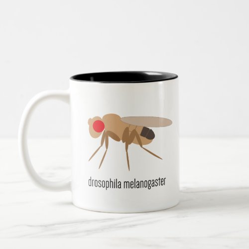 Drosophila Coffee Mug