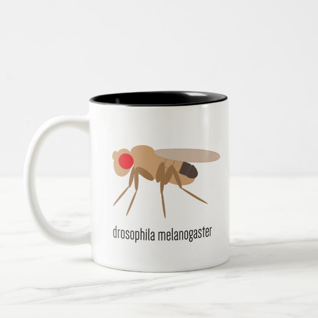 Drosophila Coffee Mug (Left)