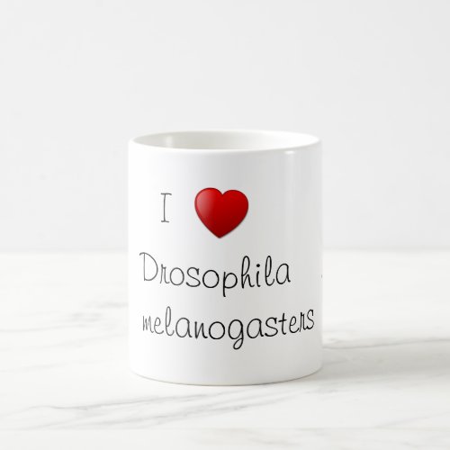 Drosophila Coffee Mug