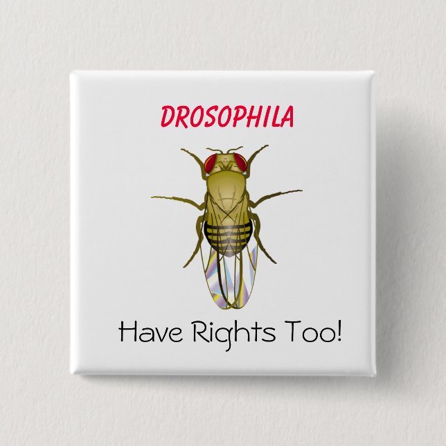 DROSOPHILA, Drosophila , Have Righ... - Customized Pinback Button (Front)