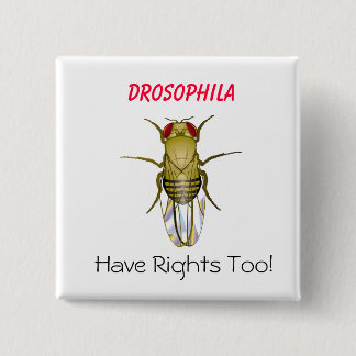 DROSOPHILA, Drosophila , Have Righ... - Customized Pinback Button