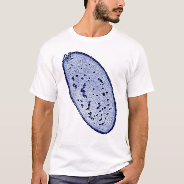 drosophila embryo - DNA stain T-Shirt (Front)