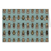 Drosophila Fruit Fly Genetics (Front Horizontal)