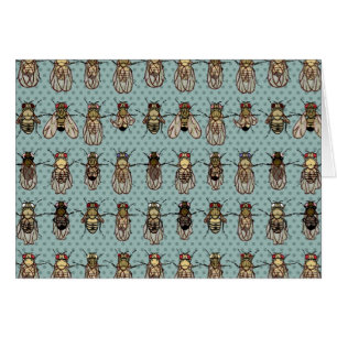 Drosophila Fruit Fly Genetics Cards