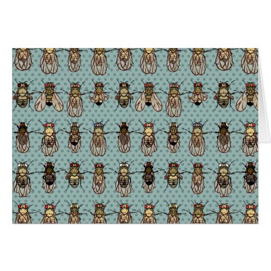 Drosophila Fruit Fly Genetics Cards (Front Horizontal)