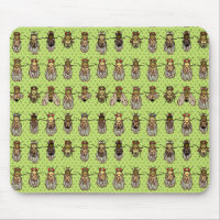 Drosophila Fruit Fly Genetics - mutants - Lime