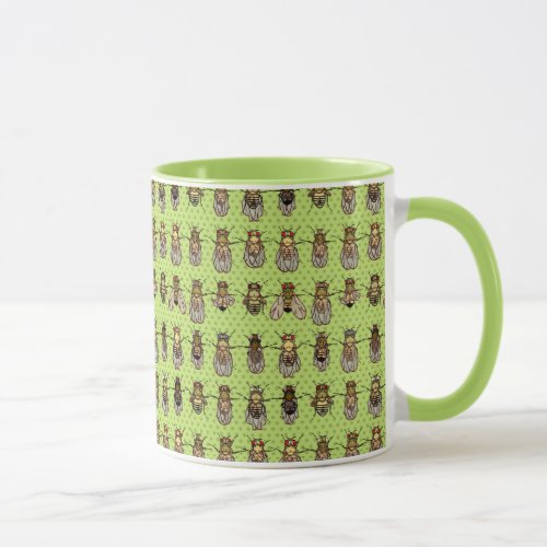 Drosophila Fruit Fly Genetics _ mutants _ Lime Mug