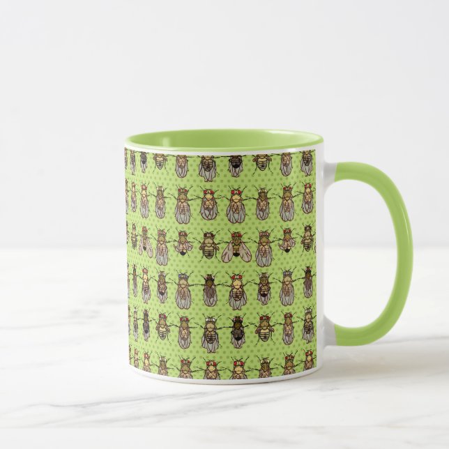 Drosophila Fruit Fly Genetics - mutants - Lime Mug (Right)