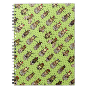 Drosophila Fruit Fly Genetics - mutants - Lime Notebook