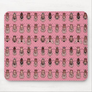 Drosophila Fruit Fly Genetics - mutants - Pink Mouse Pad