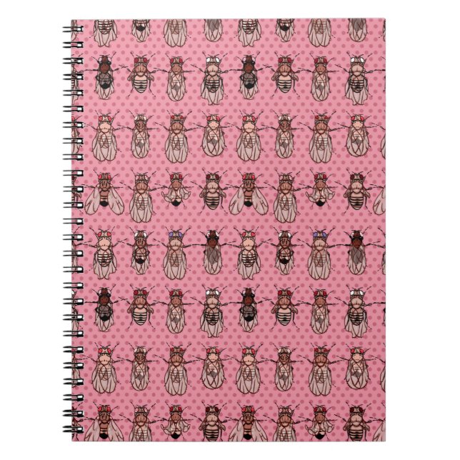 Drosophila Fruit Fly Genetics - mutants - Pink Notebook (Front)