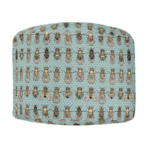 Drosophila Fruit Fly Genetics - mutants Pouf