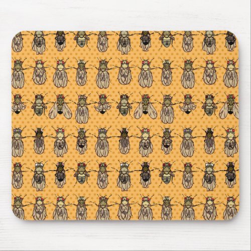 Drosophila Fruit Fly Genetics _ mutants _ Tangerin Mouse Pad