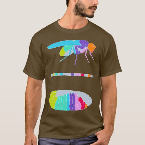 Drosophila Hox Genes T_Shirt