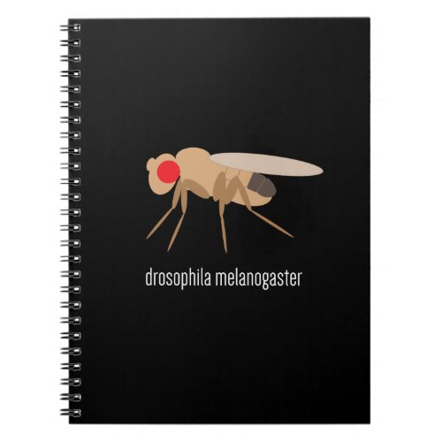 Drosophila Lab Notebook