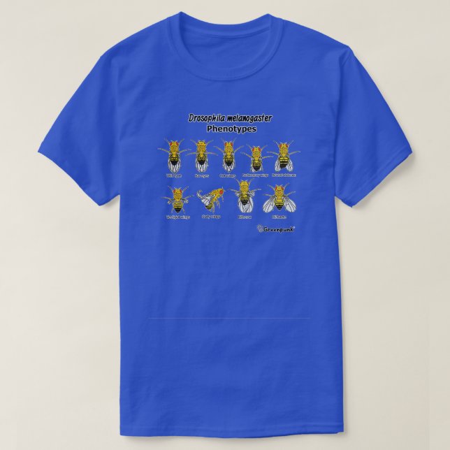 Drosophila melanogaster Phenotypes T-Shirt (Design Front)