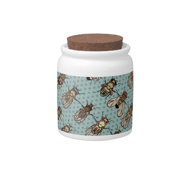 Drosophila mutants candy jar (Front)