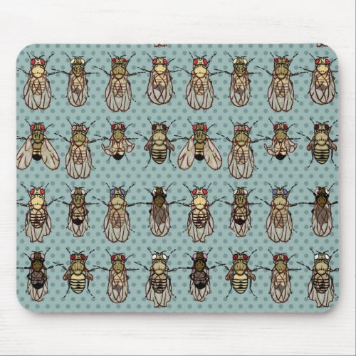 Drosophila mutants mouse pad