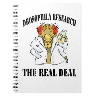 Drosophila Research Notebook